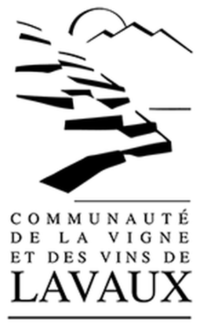 logo_CVVL